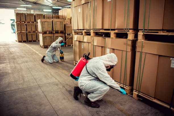 Best Best Pest Control Companies  in St Martins, MO