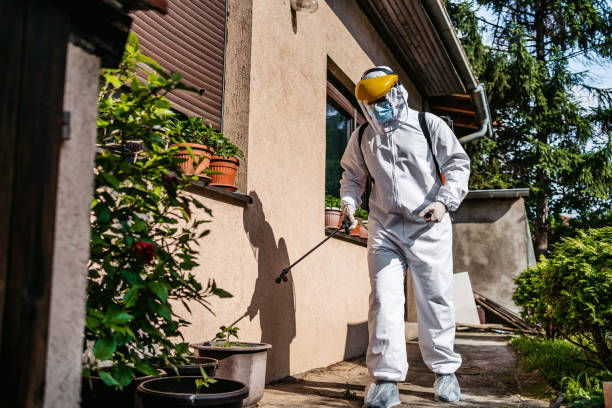 Best Bed Bug Extermination  in St Martins, MO