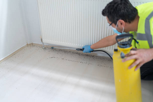 Best Exterminator Services  in St Martins, MO