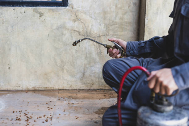Professional Pest Control in St Martins, MO