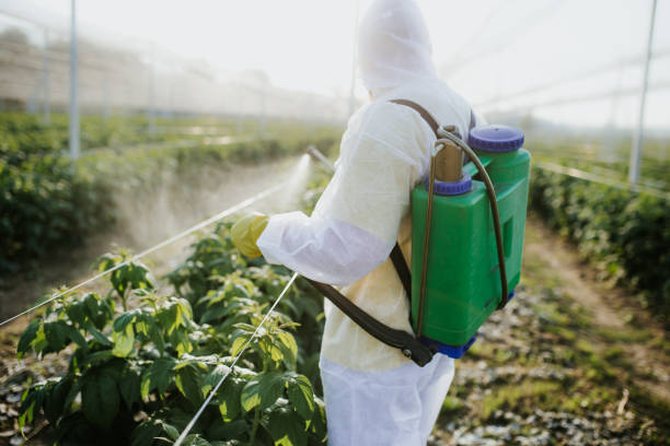 Best Pest Removal Services  in St Martins, MO